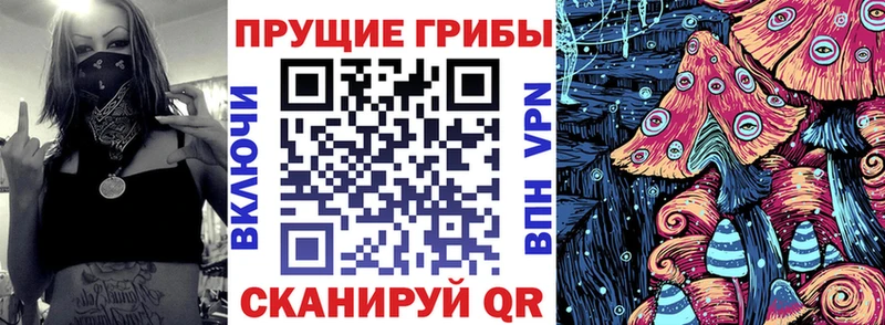 Псилоцибиновые грибы мухоморы  Купить закладки  Кодинск 