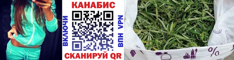 Купить закладки  Кодинск  Каннабис сатива 